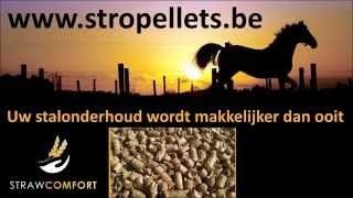 Strawcomfort Stropellets Voor De Paardenstal