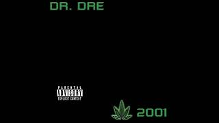 Dr Dre -Forgot About Dre- ft: Slim Shady #Dre2001 '99