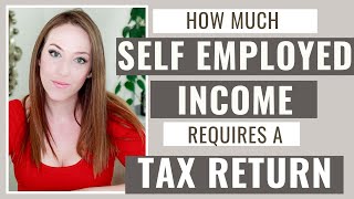 Self Employed Income Taxes - How Much Self Employed Income is Required to File a Tax Return?