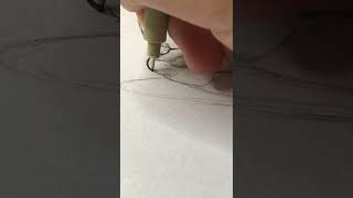 INKTOBER 2022 Day 4 - Scallop