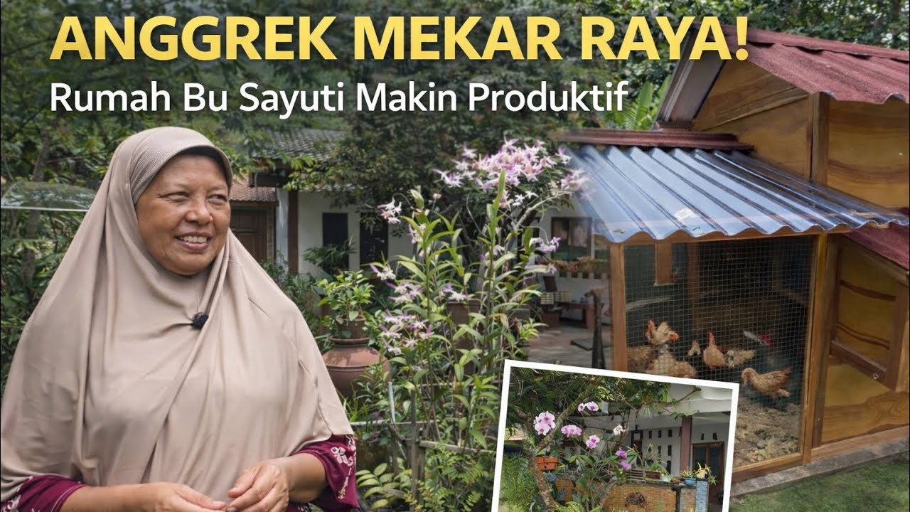 Kembali ke Rumah Bu Sayuti: Anggrek Mekar & Lahan yang Makin Produktif