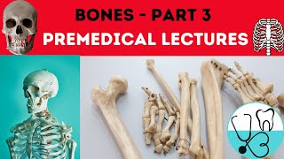 BONES PART 3 || OSSIFICATION PROCESS , LAW OF OSSIFICATION ,BONE REMODELLING , SESAMOID BONE ||