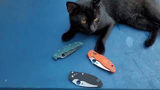 Spyderco Magnamax Manix 2 edge retention testing. Does this steel live up to the hype or not?