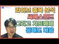 씨에스윈드 분석 그리고 차트매매의 한계와 공매도 대응