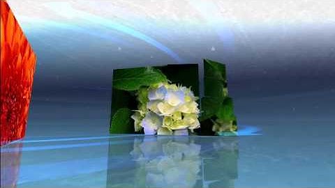 my new ending uploaded from FliXpress.com