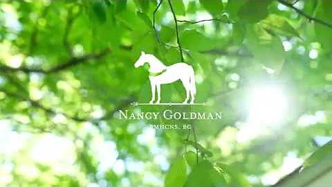Equine-Assisted Therapy with Nancy Goldman, PMHCNS...