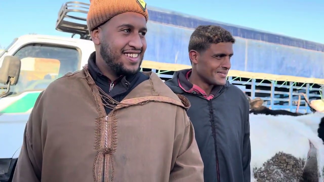 سوق الابقار في الجزائر  ديسمبر 2024