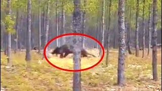 The Navajo Natives Warned Us About This Ancient Entity That Plagues Our Planet