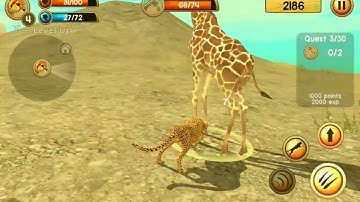 IM A CHEEEEETAAAAAH !!!!!(NEW LONG FORM VIDEO SERIES!!!???) (let