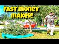 Make Money Trimming Small Trees | $80 in less than 15 minutes