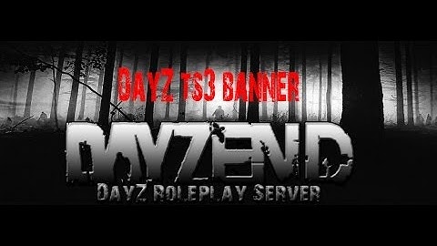 SpeedArt #4 DayZEND TS3 Banner