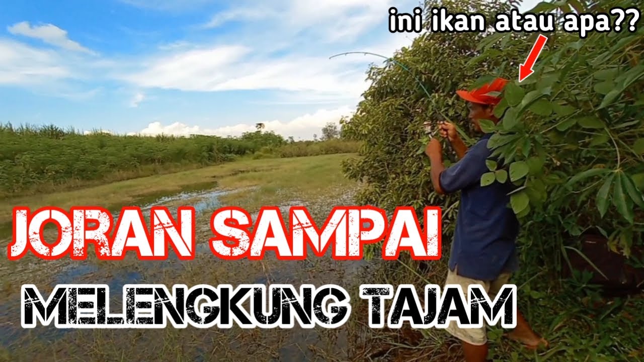 Mancing di Rawa Dapat Ikan Yang Bikin Pensaran