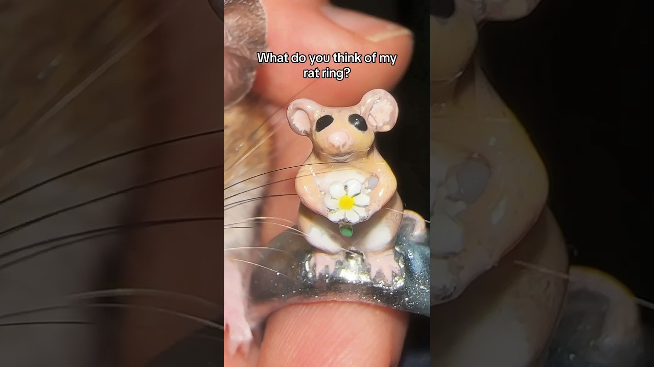 У меня было кольцо-крыса, сделанное по мотивам мышки Кекс! (Сделано Лексингтоном!)