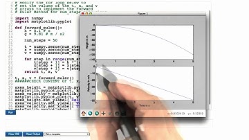 Eulerian Free Fall Solution - Differential Equations in Action