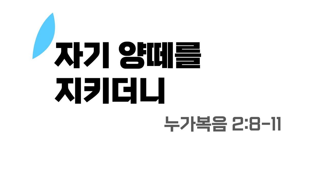 [수원시민교회] 주일설교[음성] | 자기 양떼를 지키더니 | 누가복음 2:8-11 | 2025.12.25 | 성탄 | Keeping watch over their flock