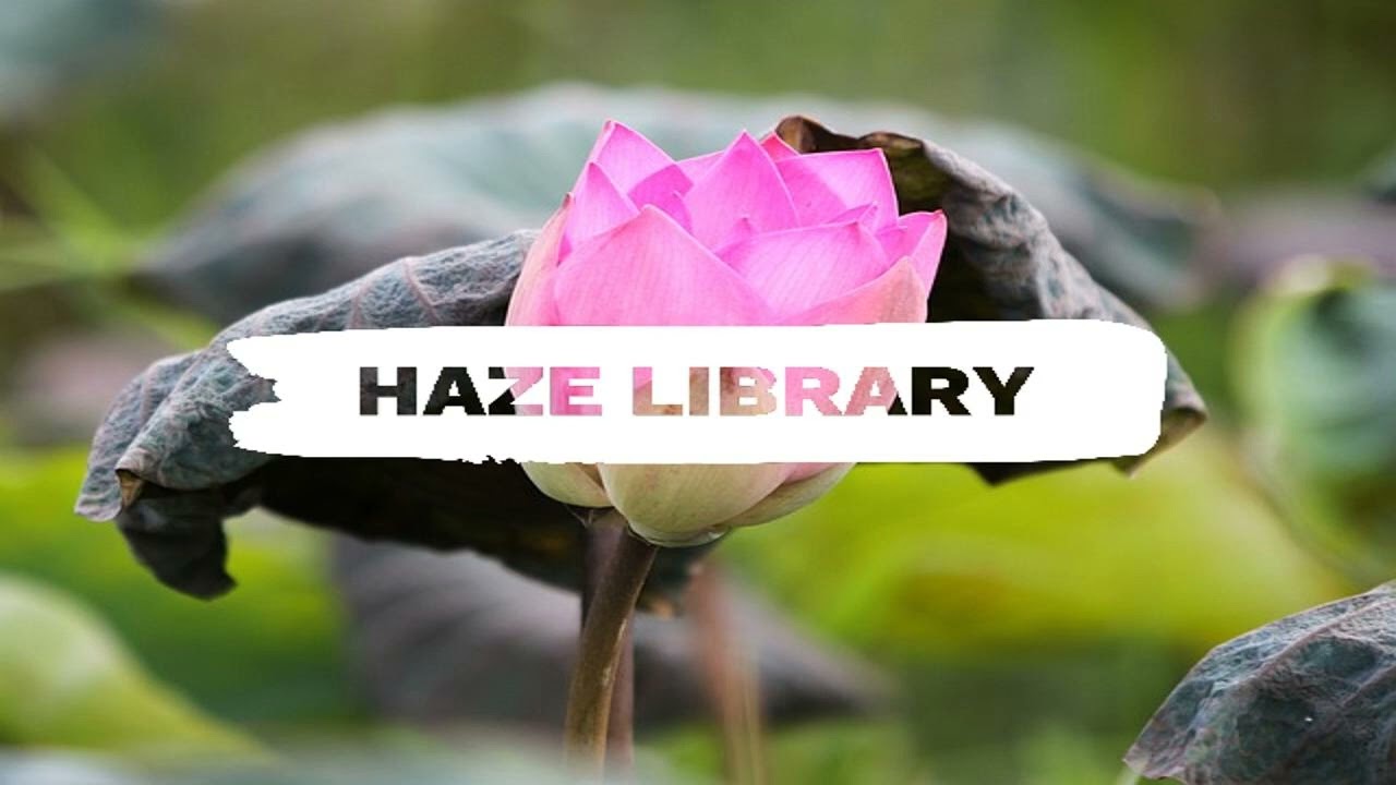 Nu Disco House - No Copyright and Royalty Free Music