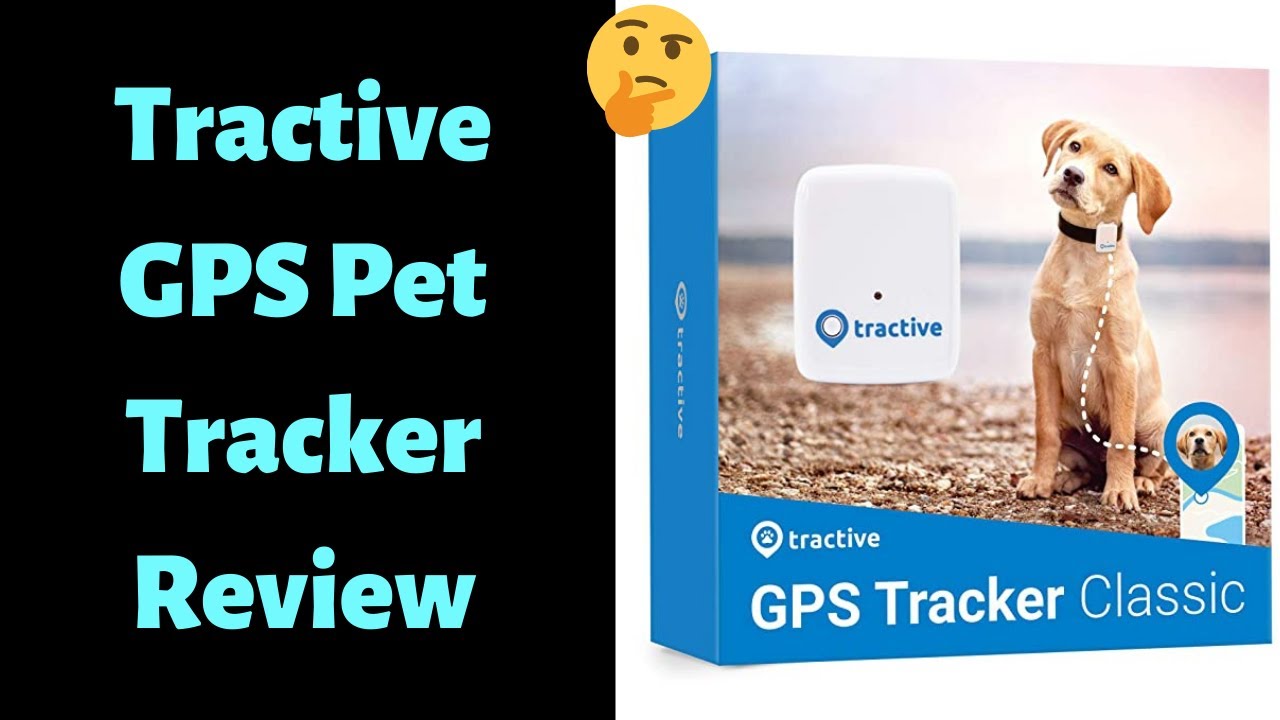 Tractive GPS Pet Tracker Review | Should Get one for you? - YouTube