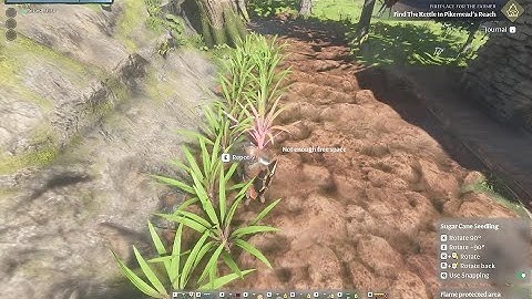 Enshrouded key macros: one button press planting demo