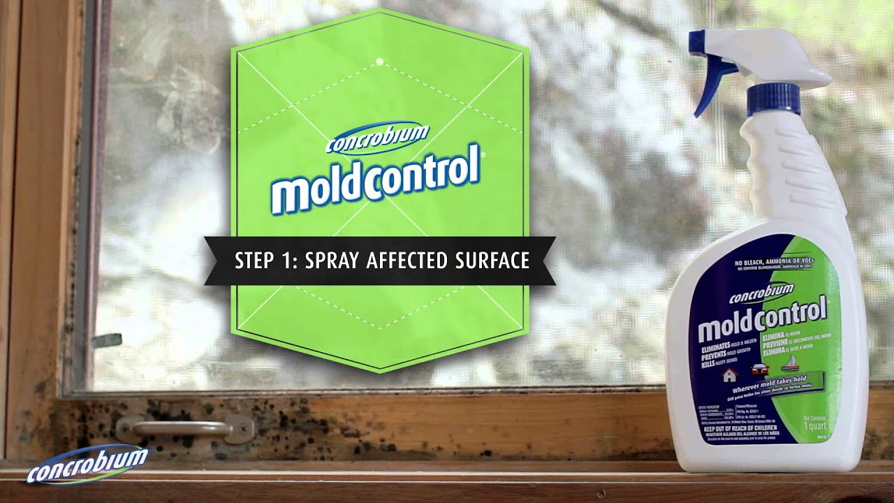 Concrobium Mold Control: Indoor Mold Fighting Guide 