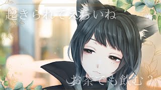 浄ヶ崎 ユーヤ / yuya jogasakiの配信のサムネイル画像