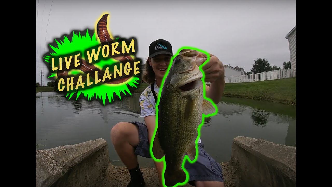 Bass Fishing w/ LIVE WORMS (OUTSTANDING RESULTS)