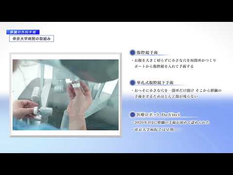 杉本真樹 Maki Sugimoto Official YouTube Channel - YouTube