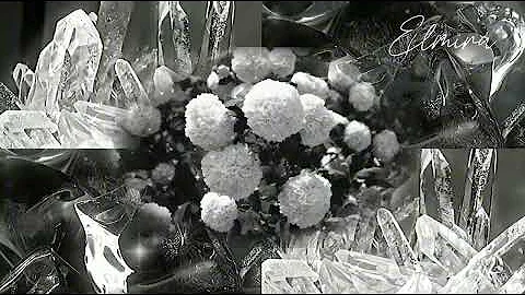 ⚠️ THIS SUBLIMINAL GRANTS YOUR WISHES IN SECONDS, IT FEELS ILLEGAL❗{1X MAX, FORCED}