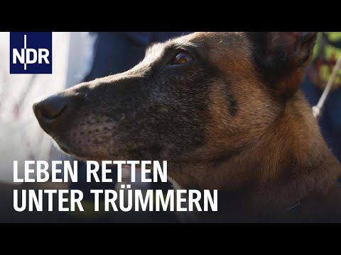 Erdbeben in der Eifel: So hat es zwischen Aachen und Roetgen gewackelt | WDR aktuell