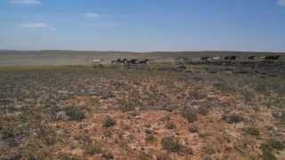 Download Lagu VID 20150625 120905 222 MP3