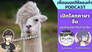 รวมศัพท์จีนอิหยั๋งวะ และการเรียนภาษาจีน // เพื่อนบอกให้ลองทำ Podcast # 202