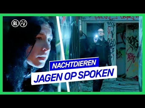 "Wat wij gaan doen is illegaal" | Nachtdieren | NPO 3 TV
