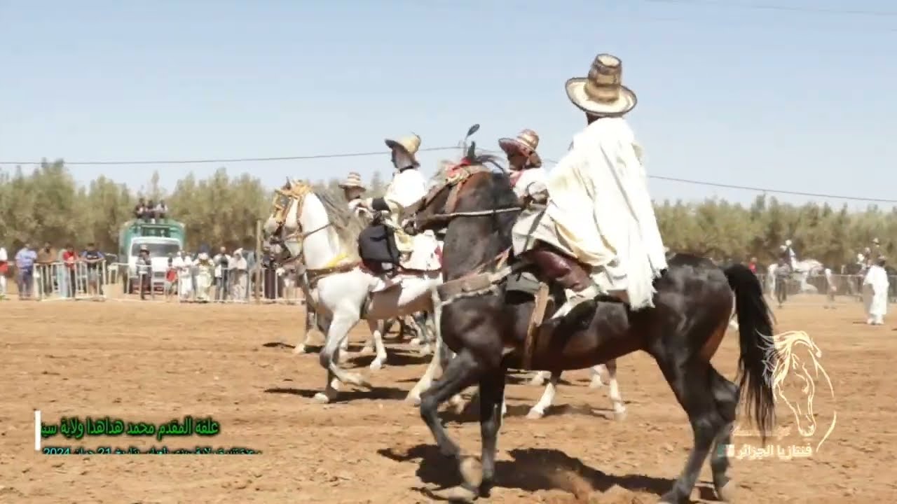 جميع مشاوير علفة الحاج محمد هداهدا ولاية سيدي بلعباس من وعدة مسيد و وعدة البيوض و وعدة تنيرة 2024