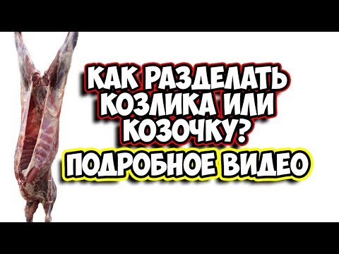 Video: Ак козу карындарды кантип бышырыш керек