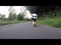 Gui Chiele - Downhill São Miguel - Farroupilha RS - raw run