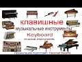 Клавишные музыкальные инструменты