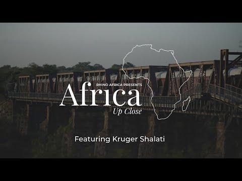 Video: Die Kruger Shalati Lodge Befindet Sich Auf Einer Afrikanischen Eisenbahnbrücke