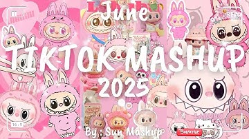 Tiktok Mashup June 💖2025💖 (Not Clean)