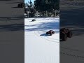 Rc cars on ice and snow #rccar #ohio #crazycomedy