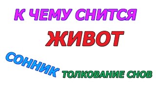 К чему снится живот сонник толкование К чему снится живот сонник толкование
