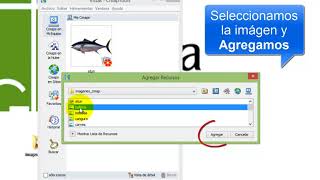 CmapTools: Insertar imágenes