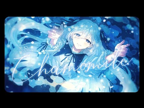 2024.3/14 chamomile ゆきむら。