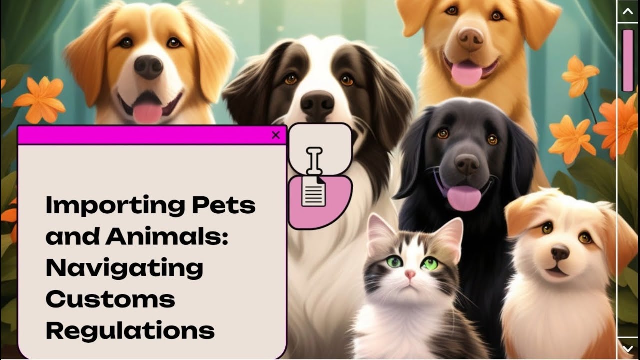 Importing Pets and Animals Navigating Customs Regulations YouTube