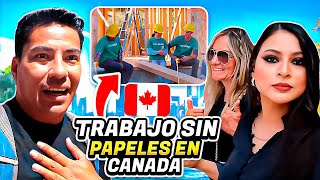 Trabajando sin papeles en Canada con otros Mexicanos. Cuanto ganamos.