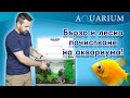 Бързо и лесно почистване на аквариума! Как да си почиствим аквариума?