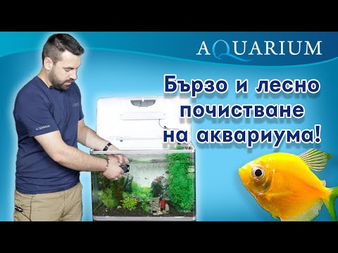 Видео: Колко често трябва да почиствате аквариума?