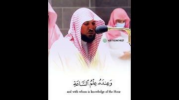 حالات واتس اب قرآن وهو الذي في السماء اله وفي الارض اليه _ سورة الزخرف  الشيخ ماهر المعيقلي