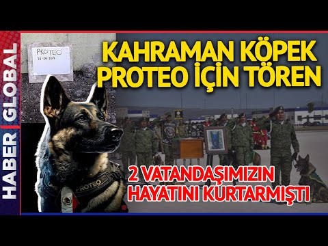 Sana Minnettarız! Adıyaman'da Hayatını Kaybeden Meksikalı Kahraman Köpek Proteo İçin Anma Töreni