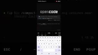 Every AI Coding CLI on My Phone: Claude Code vs Codex vs OpenCodeRun 3 AI Coding Agents on Android w