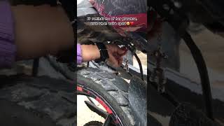 The Guardian Bell In Stock