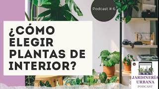 ¿Cómo escoger PLANTAS de interior? Según tu espacio | Podcast de Jardinería Urbana # 6 | Neea Flora